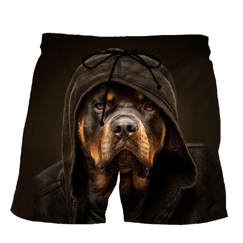 

Funny Dog Animal 3D Print Beach Shorts Men's Casual Fashion Board Shorts Swimming Trunks Male Short Pants Man Swimsuit Clothing