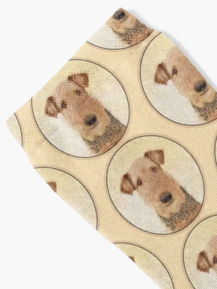 Airedale Terrier-calcetines de fútbol antideslizantes para hombre y mujer, Medias móviles