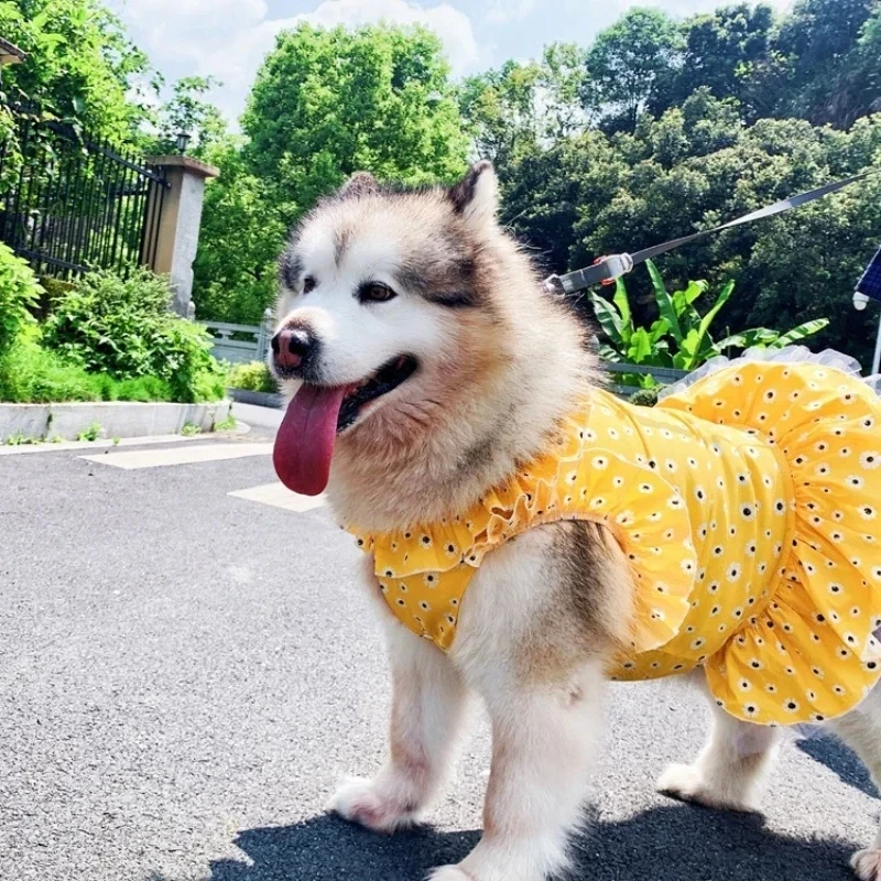 

Big Dog Dress Summer Large Dog Clothes Samoyed Husky Golden Retriever Clothing Poodle Schnauzer Corgi Costume Pet Products Skirt