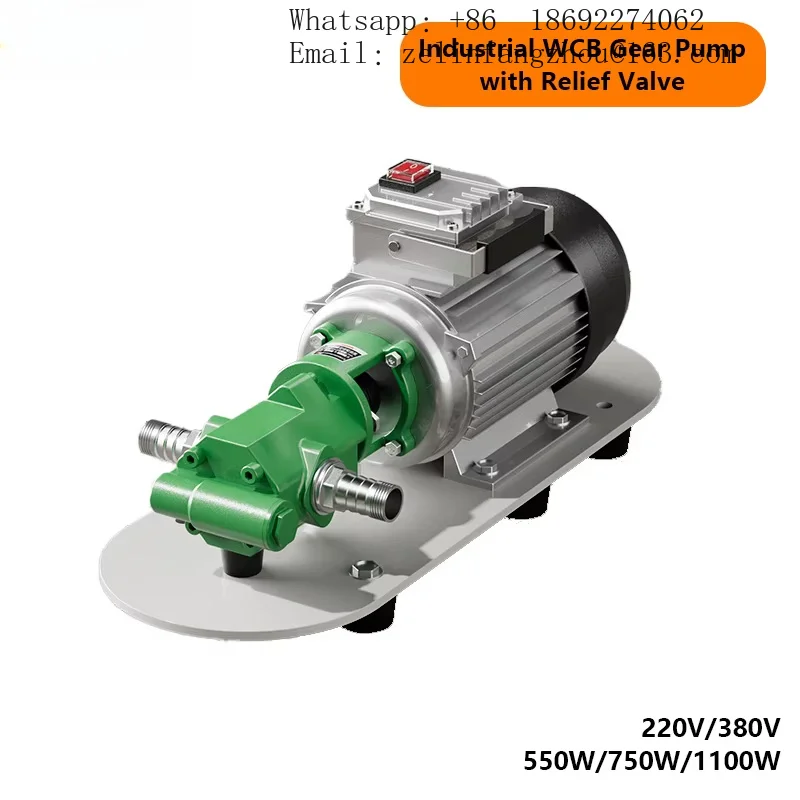 CAVITT Industrial Hydraulic Gear Pump High Pressure Relief Valve Fuel Transfer Lube Oil Pump 220V 380V 550W 750W 1100W