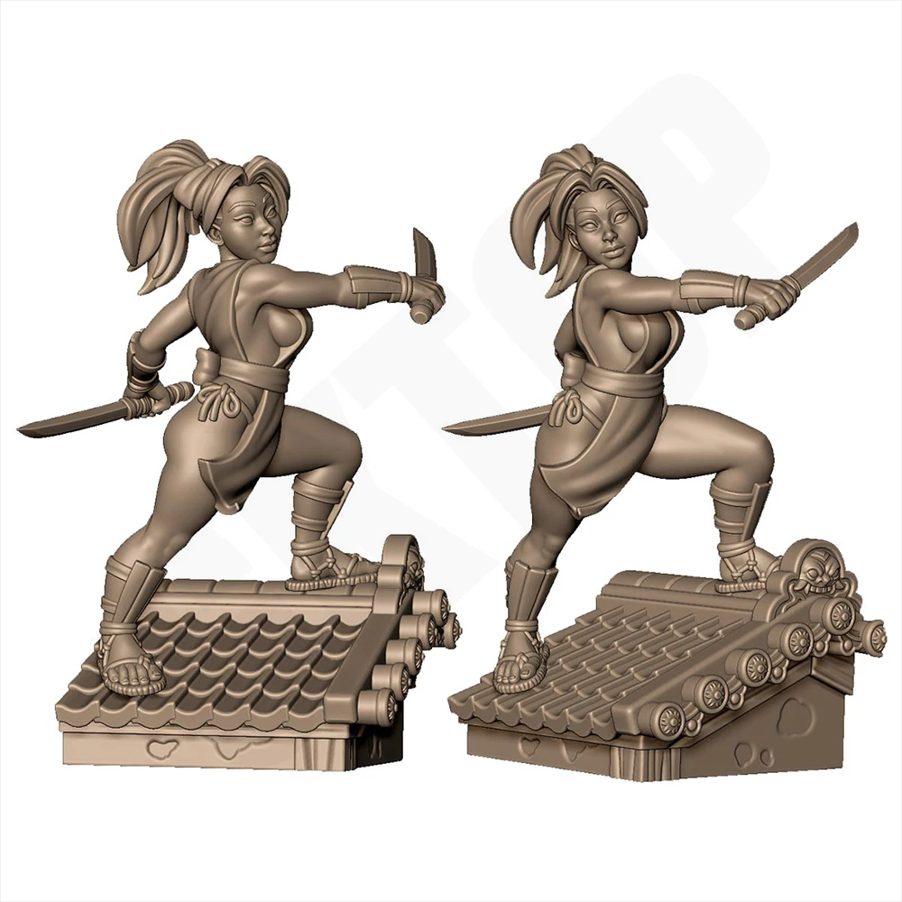 

1/24 3d Print Model Kit Sexy Blade Female Warrior NSFW Anime Figure Model Kit DIY Miniature Reduction Statue Unpainted Toys