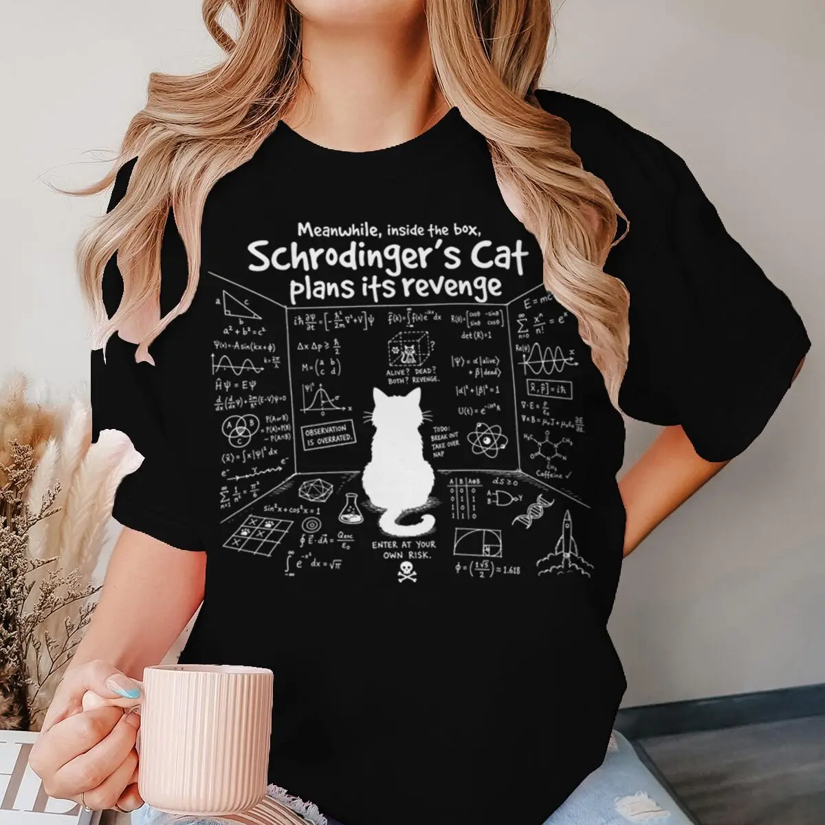 Schrodinger’s Cat Plans T-shirts Women Men Math Physics Equations T Shirt for Teacher Gifts Fashion Bookworm Tshirts