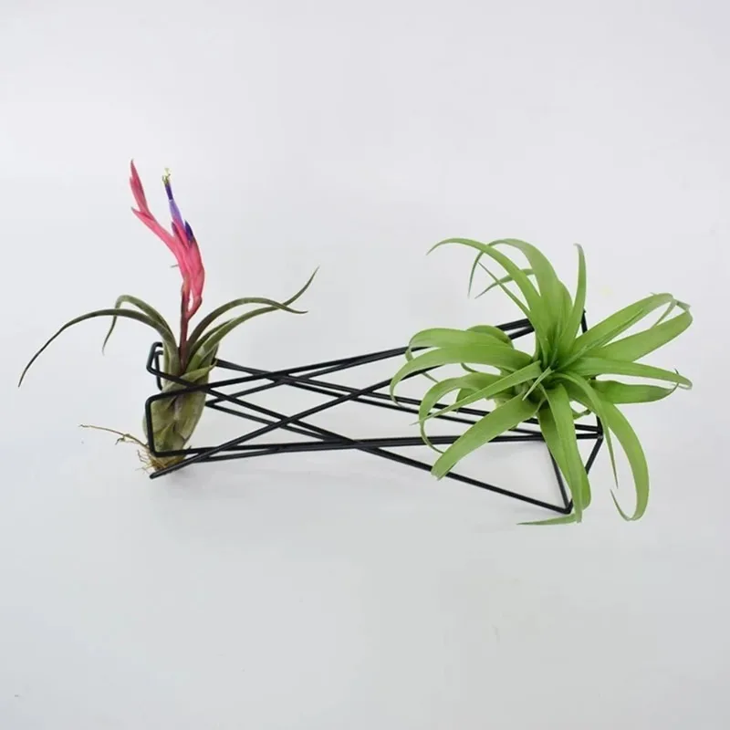 Nordic Style Air Plant Stand Metal Flower Pot Stand Geometric Iron Air Pineapple Stand Desktop Home Garden Decoration