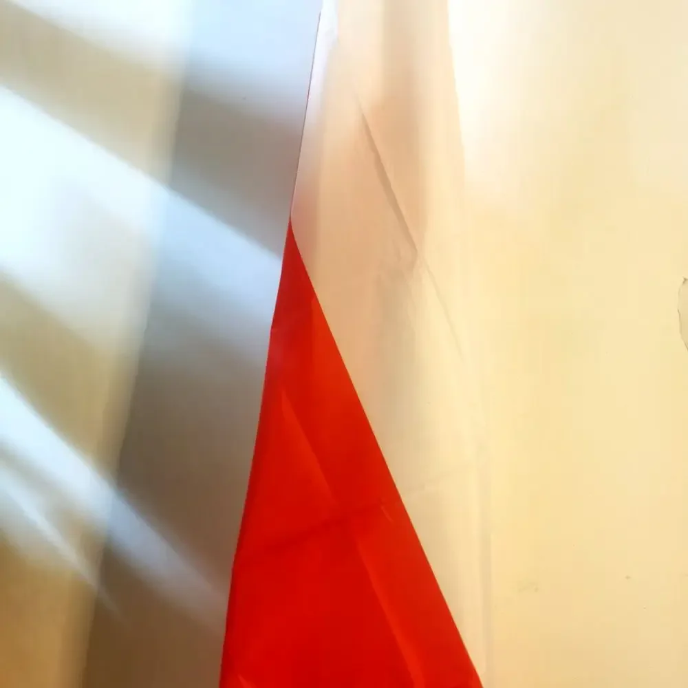 Bandiera Bielorussia Pagonya Bianco Rosso Bianco Cavaliere Cavallo Bandiera della Rivoluzione Nazionale 90x150 cm Poliestere