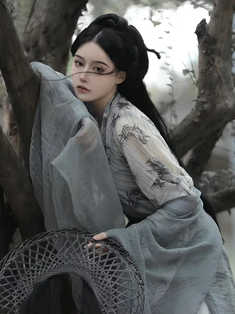 2025 جديد الصينية Hanfu فستان المرأة القديمة التقليدية Hanfu مجموعات كرنفال الجنية تأثيري حلي رمادي الطباعة Hanfu فستان رقص