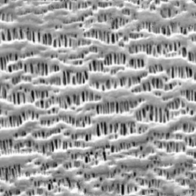 Microporous Separator Film 2320 2325 2500 for Lithium ion Battery Raw Material Manufacturing Supply