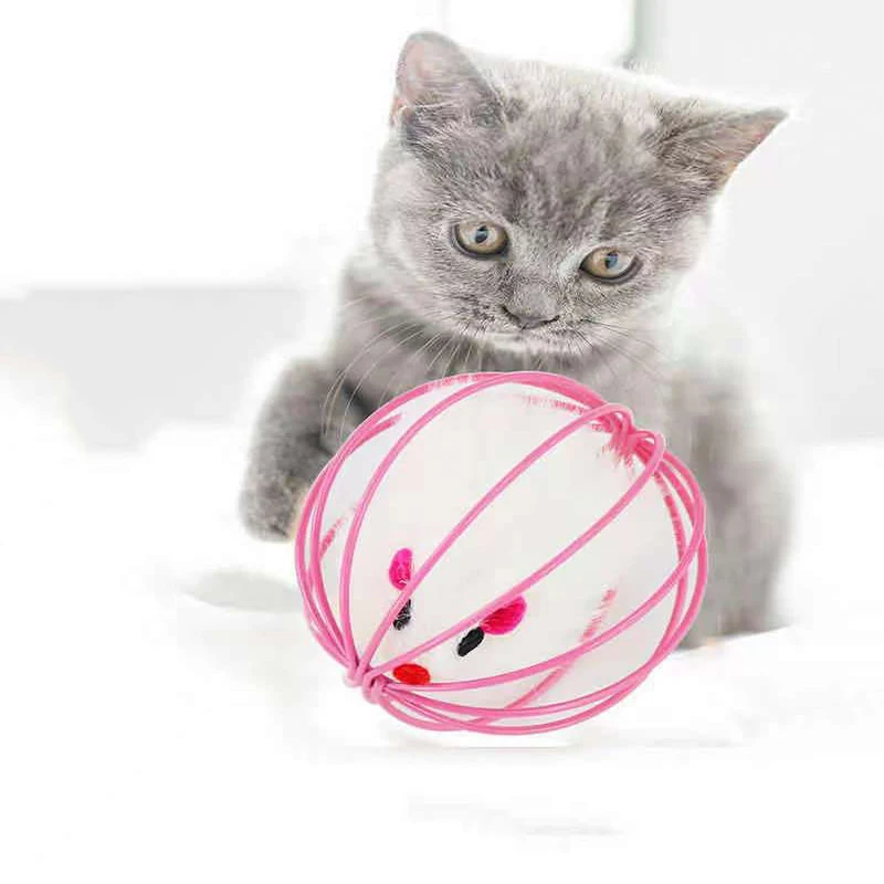 1Pcs Colorful Cat Toys Round Shape Mouse Cage Funny Toys Cat Teaser Toy Pet Product Supplies