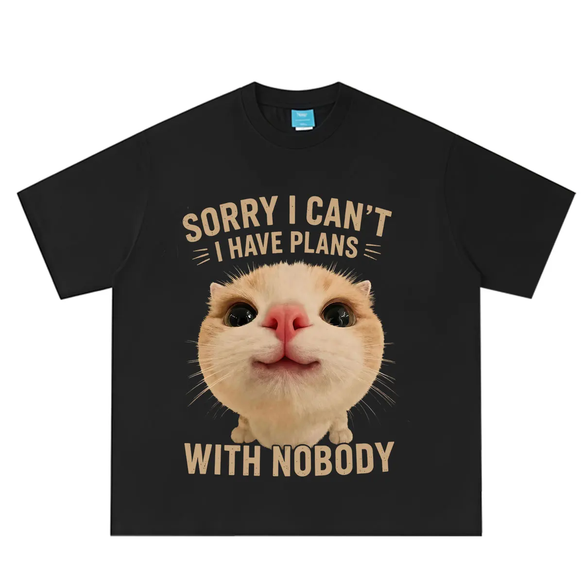 Sorry I Can’t I Have Plans with Nobody  Funny Cat Meme T Shirt Men Women Fashion Clothing T-shirt Summer Casual Cotton T-shirts