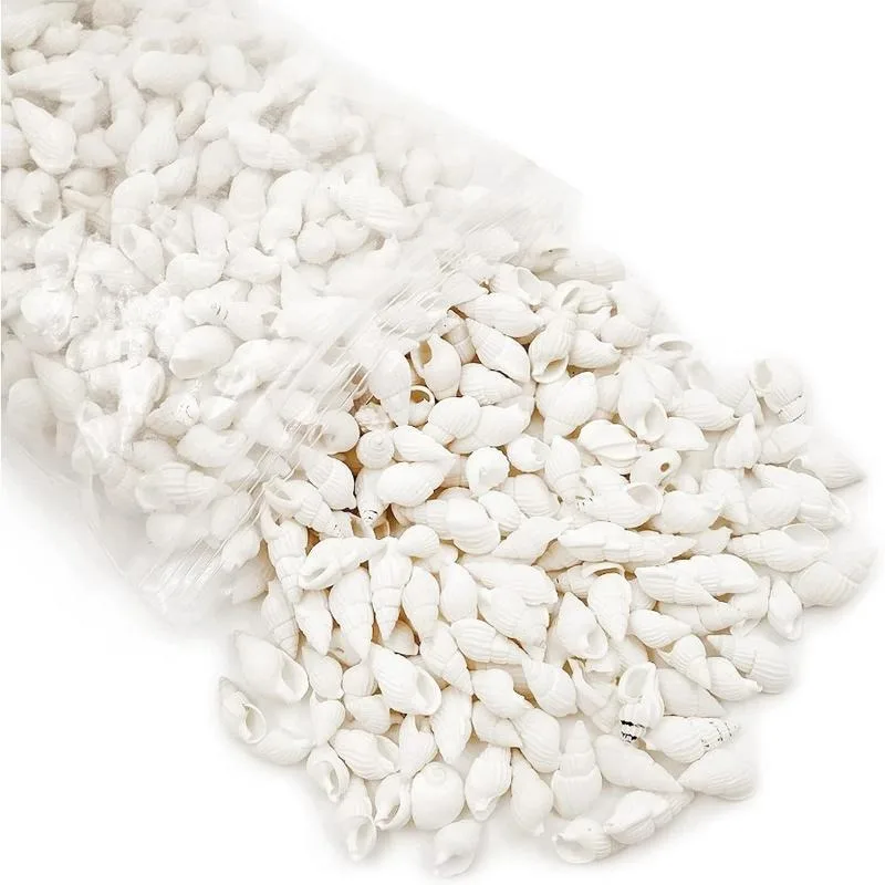 White Clam Cay Sea Shells for Home Decorations Party Wedding DIY Crafts 350pcs Spiral Shape