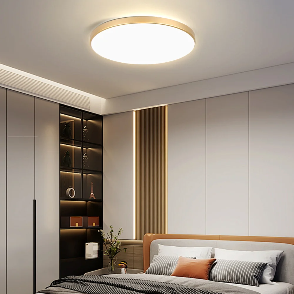 Golden Ceiling Lights with Remote Control Smart Dimmable Home Decor Living Room Modern Ceiling Lamp for Bathroom Kitchen Bedroom