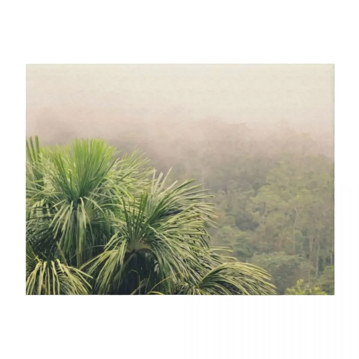 

Rainforest Fog Throw Blanket Loose wednesday Beach Flannel Fabric Blankets