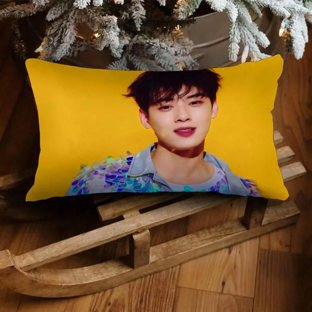 Double-sided Printing Rectangle Pillow Popular Korean Actor Cha EunWoo Case Bedside Sofa Cushion Cover Room Home Decoration