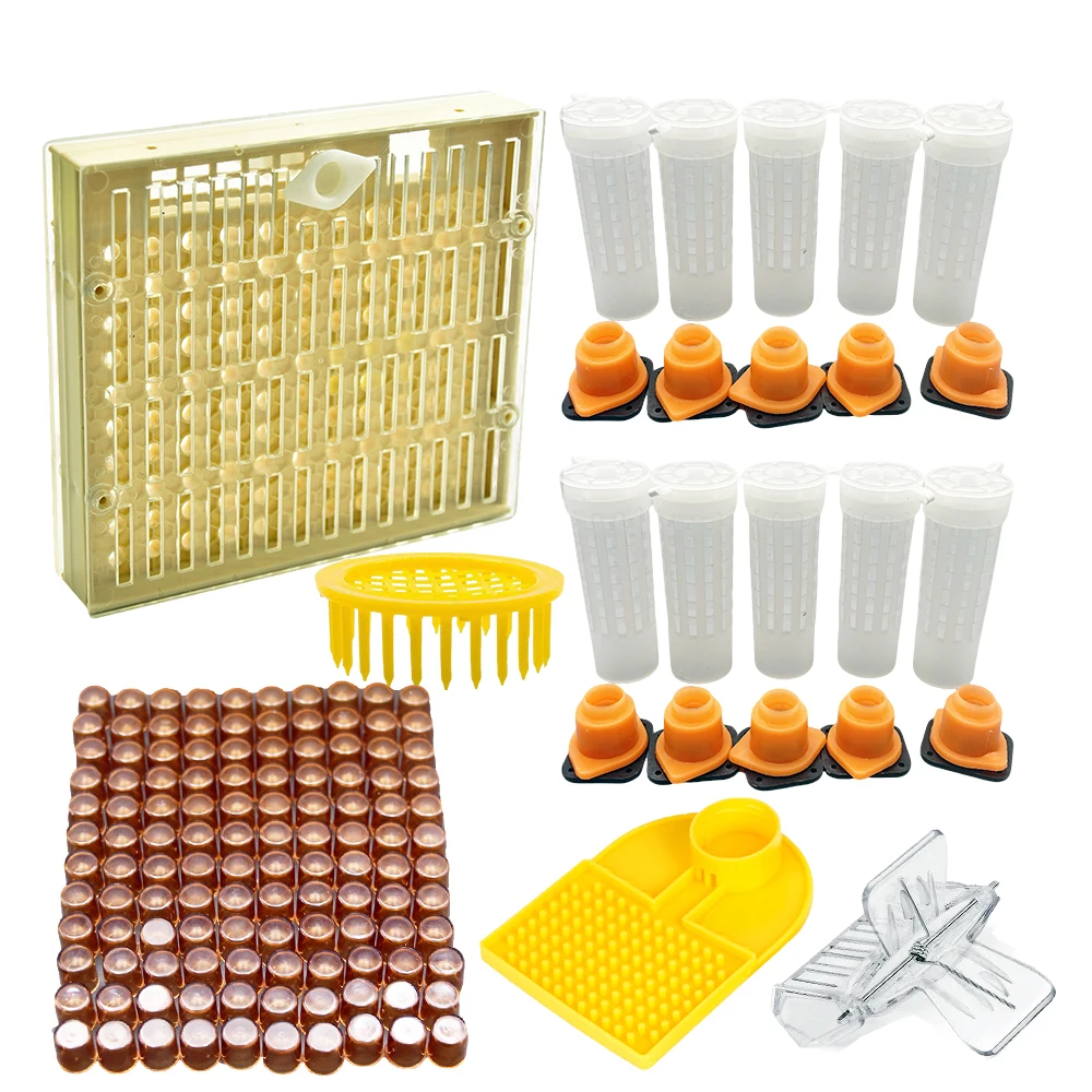 Queen Rearing Kit Plastic Protection Cover Hair Roller Cage Anti Bite Bee Colony Expand Apis Mellifera Egg Cell High Accept Box