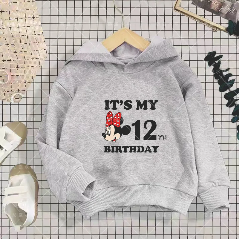 

Disney Birthday Number 3-12 Boy Minnie Mouse Cartoons Kawaii Baby Sweatshirt Hoodies Girl Clothes Disney Mouse Kawaii Cartoons