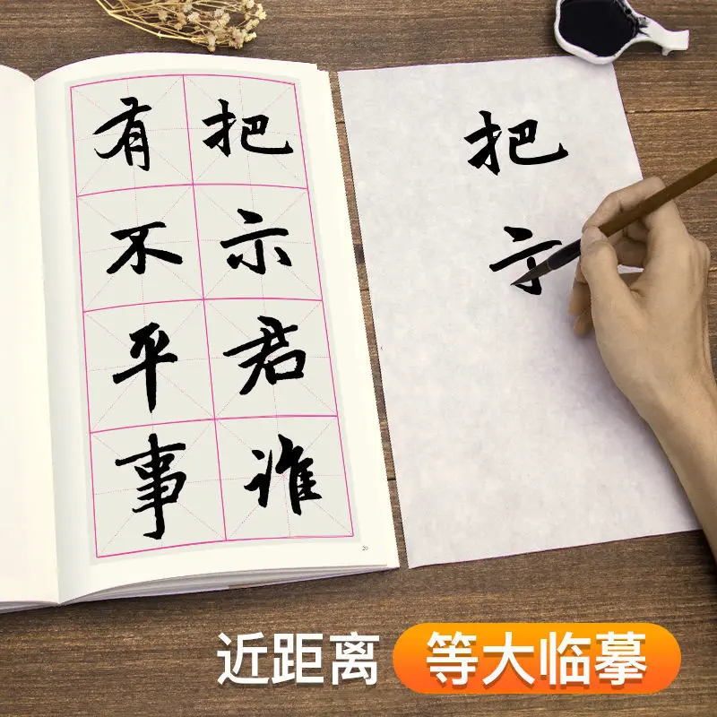 Coleção de Zhao Mengfu de Script regular, Tang Songs, Song and Tang, Two Reference Tutorial