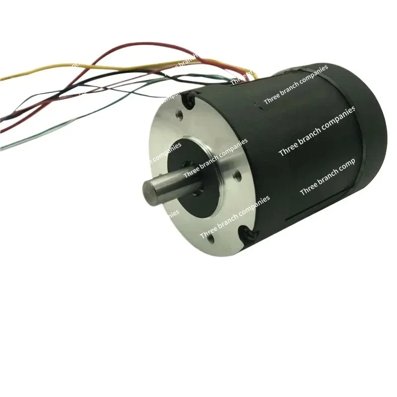 DC Brushless Motor for Garden Tool Mower 24V 48V High Power 300w 400w 500w