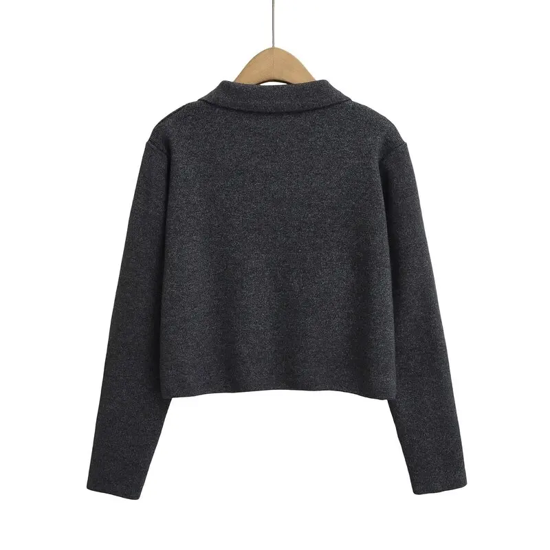 Novo Casaco de Malha F de Manga Longa com Gola e Botões Duplos para o Outono Inverno 2024, Estilo Cardigan de Crime...
