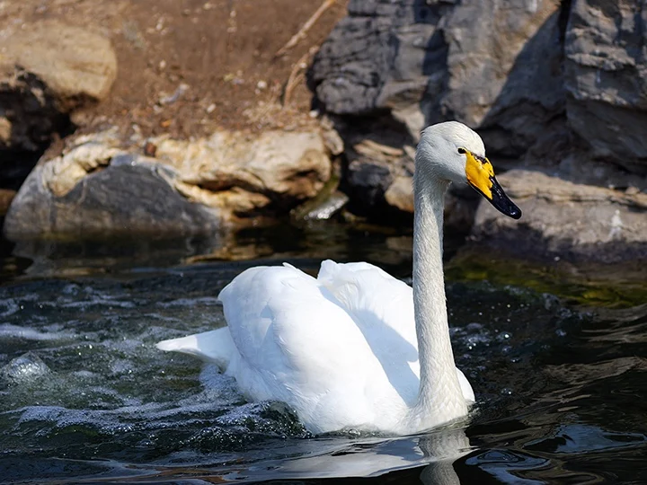 

25T Servo Winch Set RC Car Upgrade Accessories For 1/10 Rc Crawler Car Axial Scx10 90046 D90 Trxs Trx4 Ford Mst Cfx Jimny Vs4