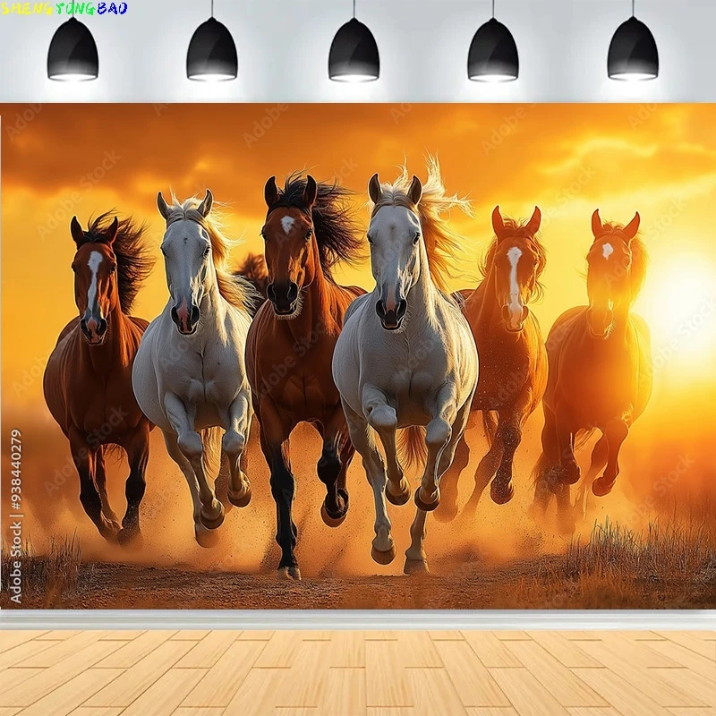 Chevaux sauvages galops librement craquelés par le soleil plaine photographie décors prairie prairie prairie Photo fond MA-02