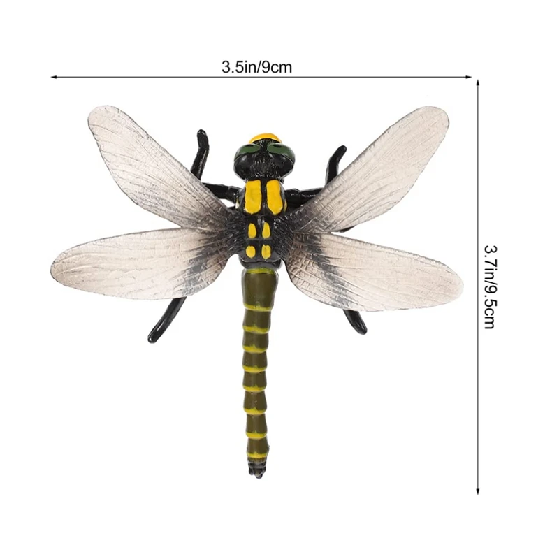 8 pezzi ciclo di vita di lumaca libellula figurine di animali modello di crescita figure di animali della foresta giocattoli educativi