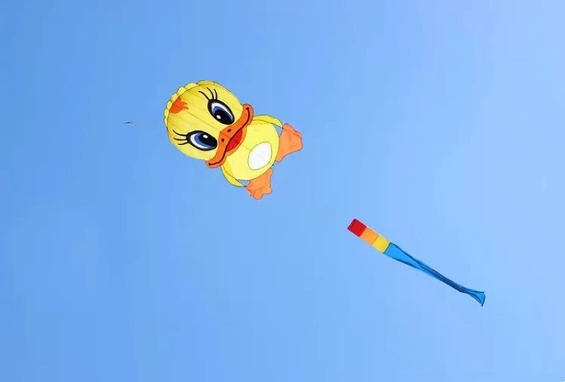 Gratis Verzending Eendenkites Vliegen Voor Kinderen Vliegers Fabriek Opblaasbare Vliegers Outdoor Speelgoed Draak Wind Vissen Kite Soft Kites Fun