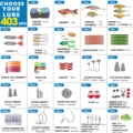 403pcs