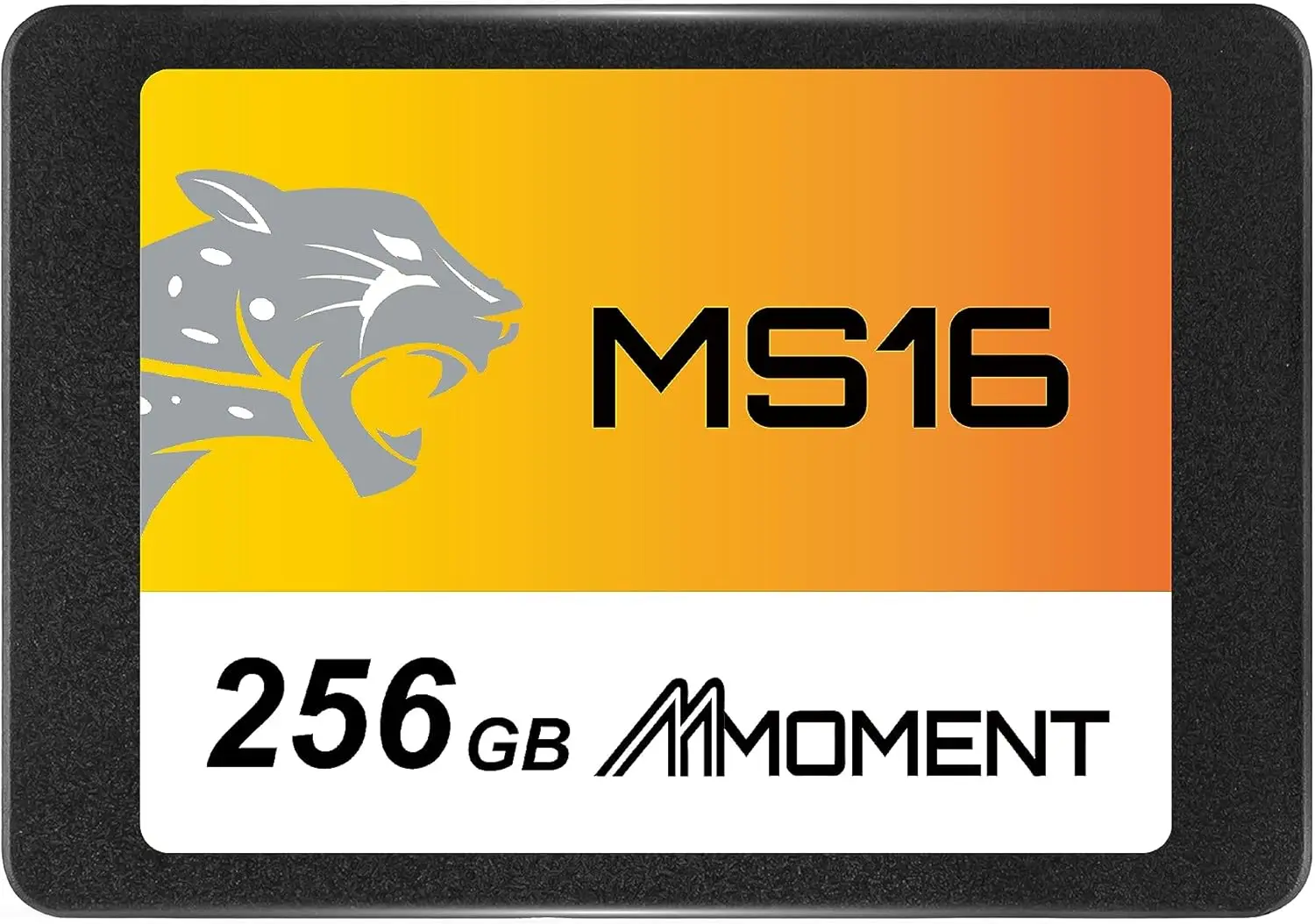 

2.5" SATA III SSD 256GB, Read 550MB/s, Write 530MB/s, for PC Desktop