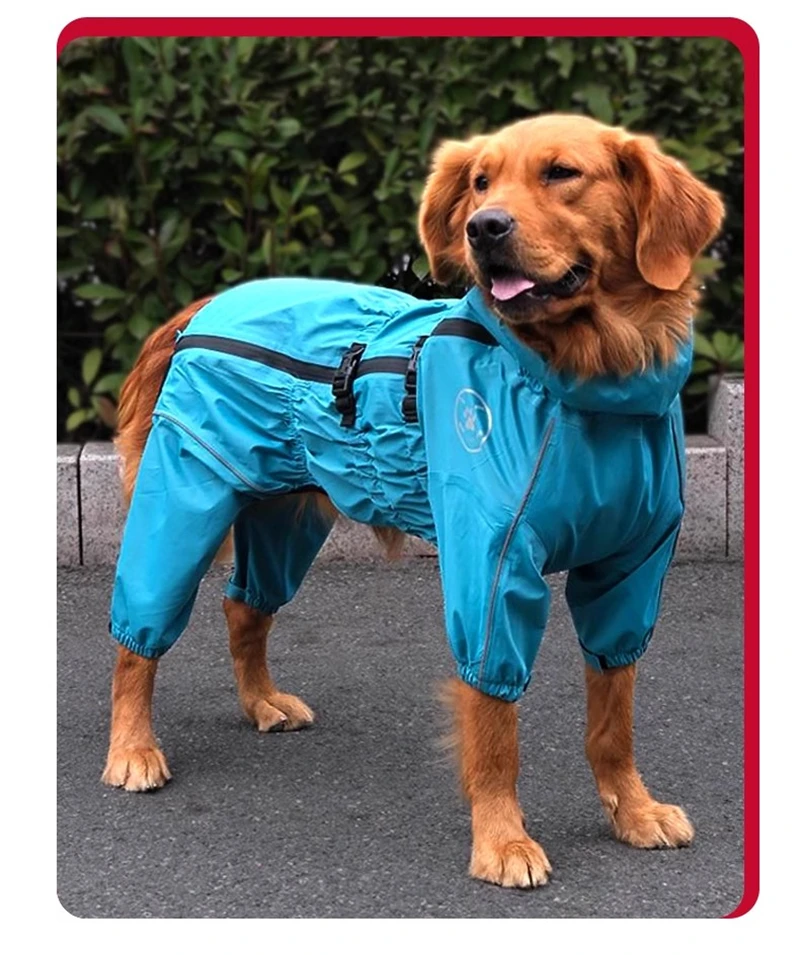 2025 Giacca da esterno per can - Winter Clothing For Dogs recensione e prezzo