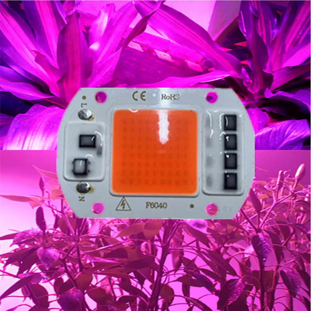 LED Grow COB Light Chip Full Spectrum AC 220V 10W 20W 30W 50W-100W non c\' è bisogno di driver per la crescita della piantina di fiori coltiva