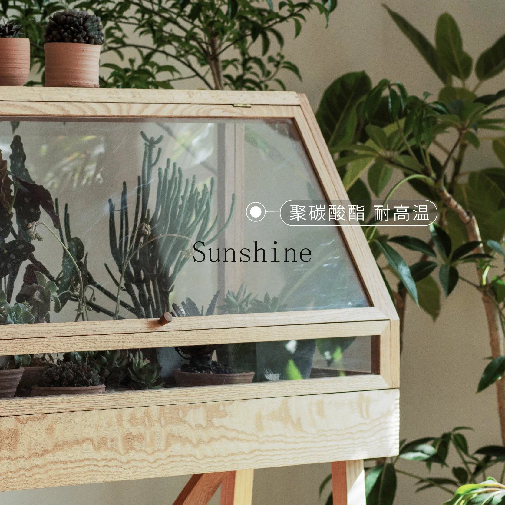 Solid wood living room floor-to-ceiling flower pot rack for flower pot succulent rack