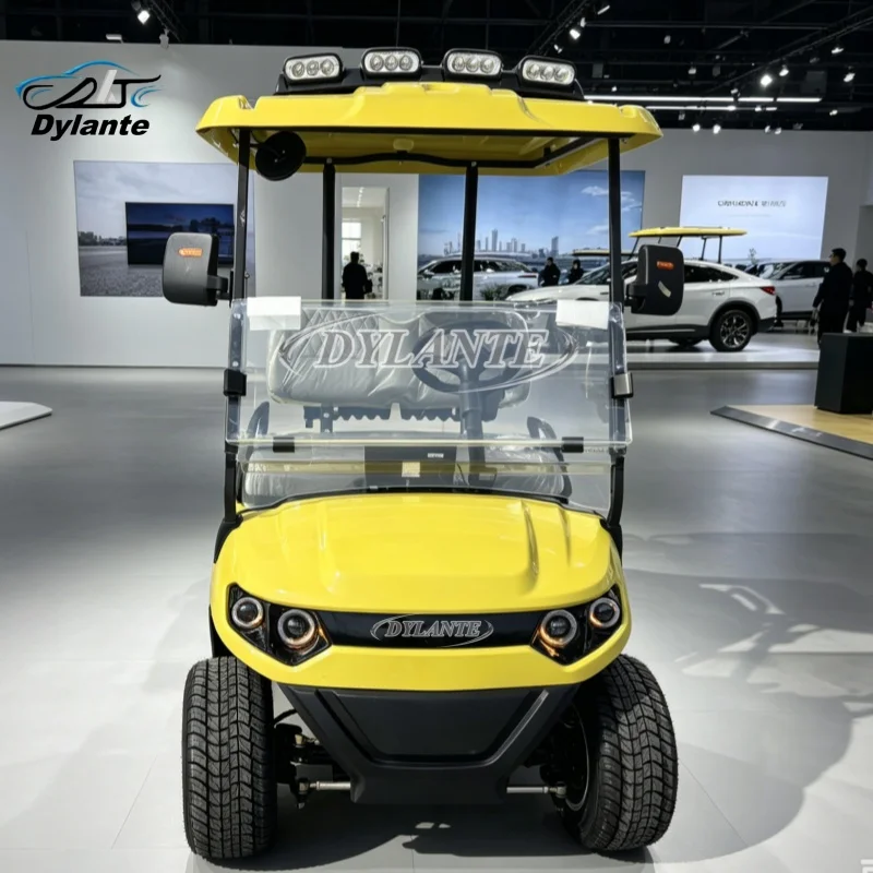 China Dylante Factory Manufacturer 2 Seater Electric Golf Cart Gas Off Road Vehicle For Sale Optional Lithium Battery Golf Cart