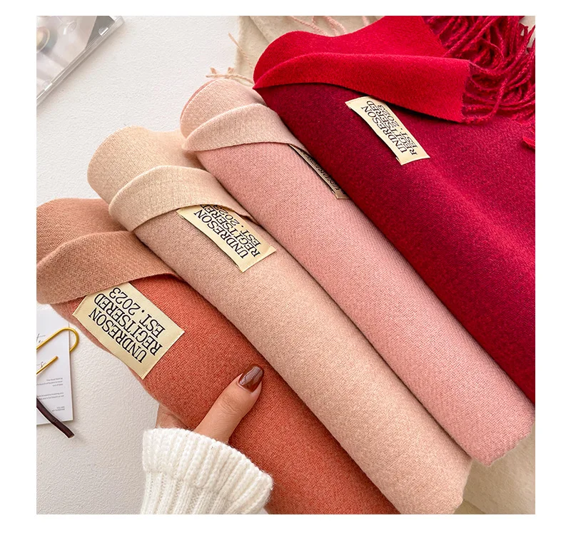 Mode solide Kaschmir warmen Schal neues Design Pashmina Winter Doppelseite verschiedene Farbe Schal Wraps Bufanda mit Quaste Decke – Detail 12