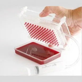 Spanish Caviar Generator, Molecular Gourmet Tools, Creative Kitchenware, Caviar Box, Caviar Maker