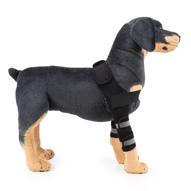 Dog Assisted Support Front Leg Fracture Bundle Joint Helps Wounds Healing Prevents Injuries Sprains