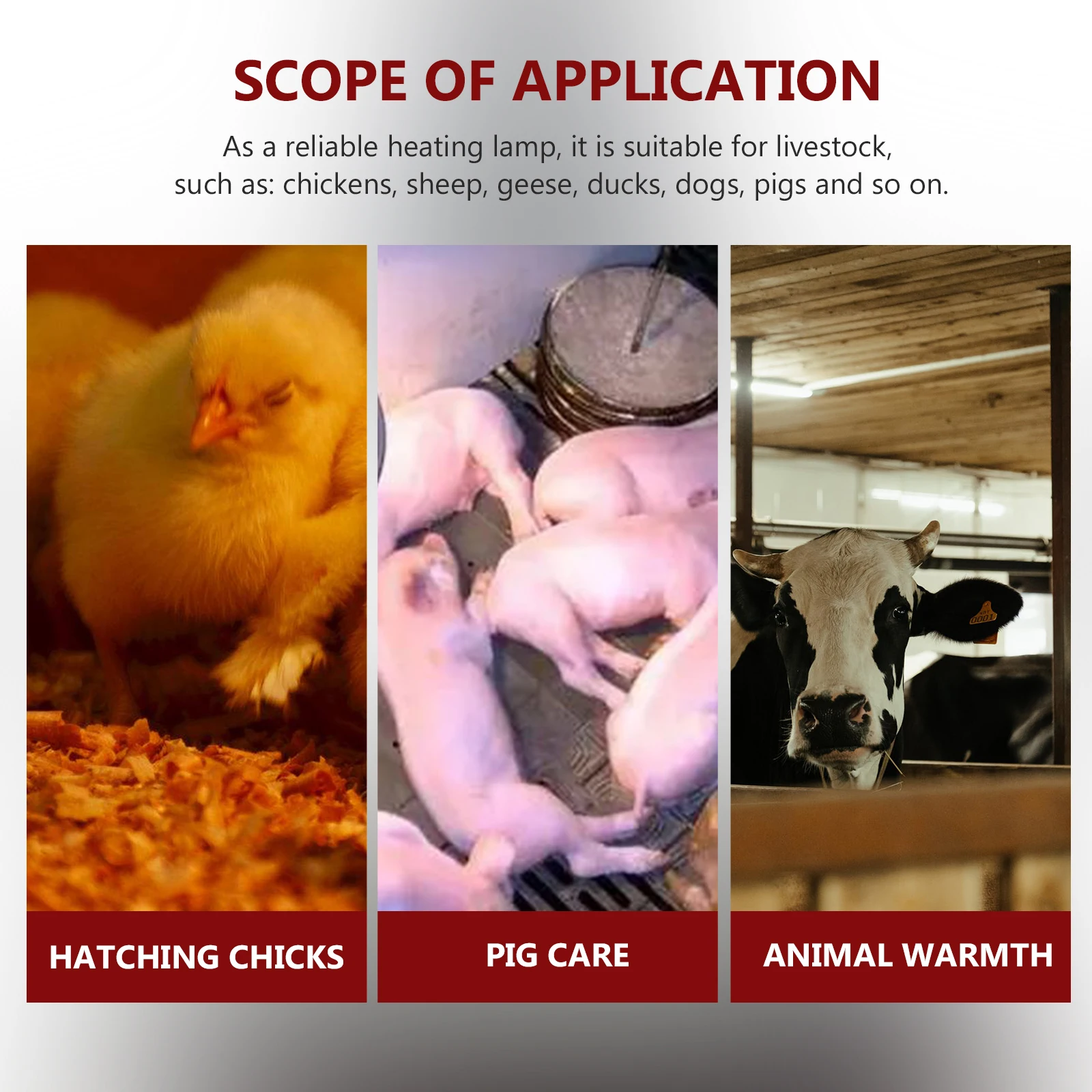 

Livestock Cage Heating Light Durable Pet Warming Lamp Safe Animal Incubator Accessory Reptile Cage Warmer Tool Chicken Pig Duck