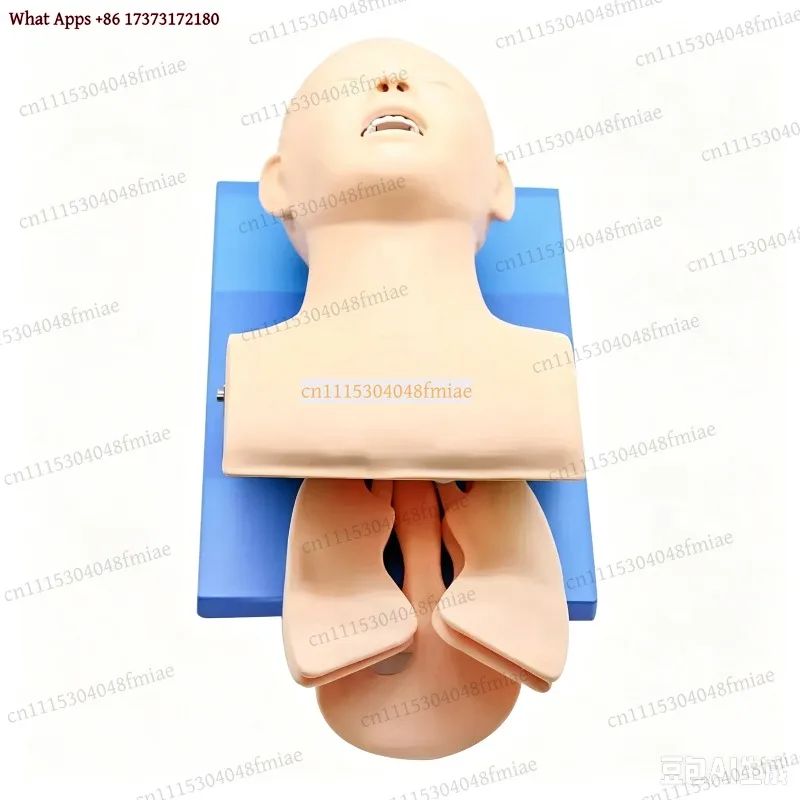 Adult Manikin Teaching 110-220V Electronic Airway Management Trainer Tracheal Intubation