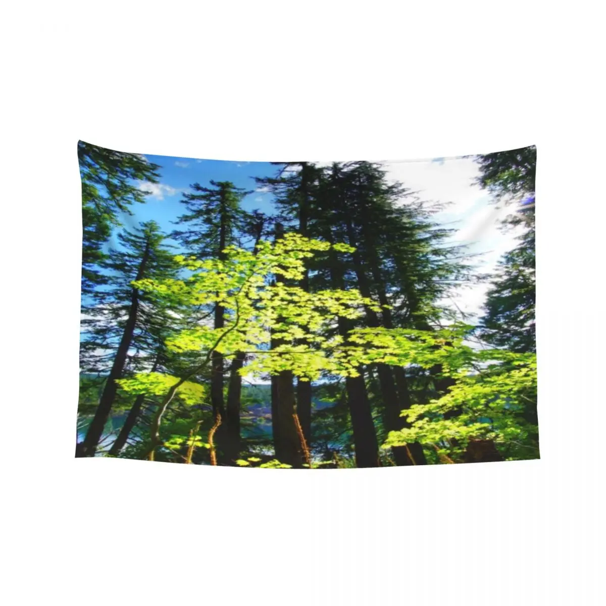 

Lost in the Trees Tapestry Wallpaper Bedroom Aesthetic Room Decorations House Decorations Tapestry