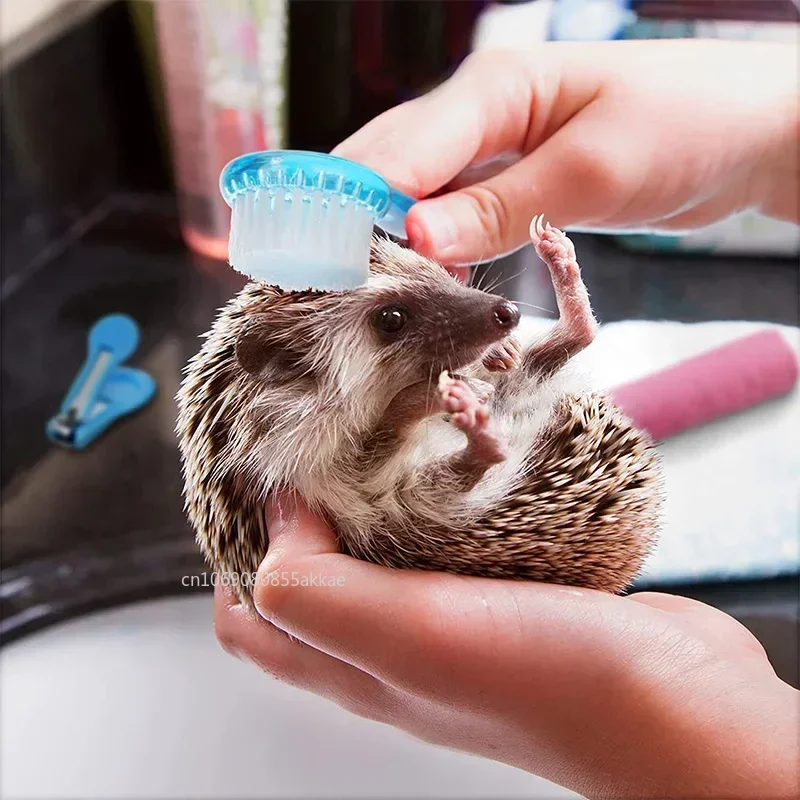 1Pc Hamster Brush Hedgehog Bathing Brush Guinea Pig Massage Combs for Hedgehog Small Animal Grooming Tools Soft Cleaning Brush