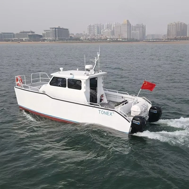 9.8m Aluminum Catamarans That Can Be Customized on Request