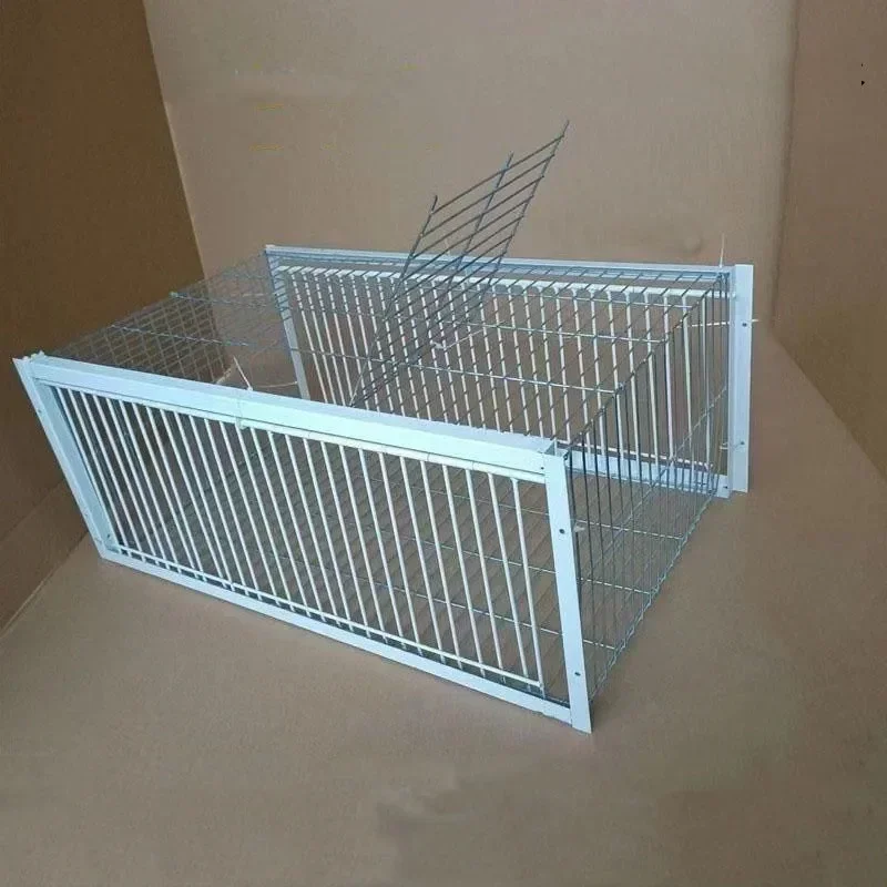 Custom Foldable Galvanised Pigeon Bird Trap Cage Feral Pigeon Humane Way with The One-way Entrance Trapping Pigeons Doves in Cag