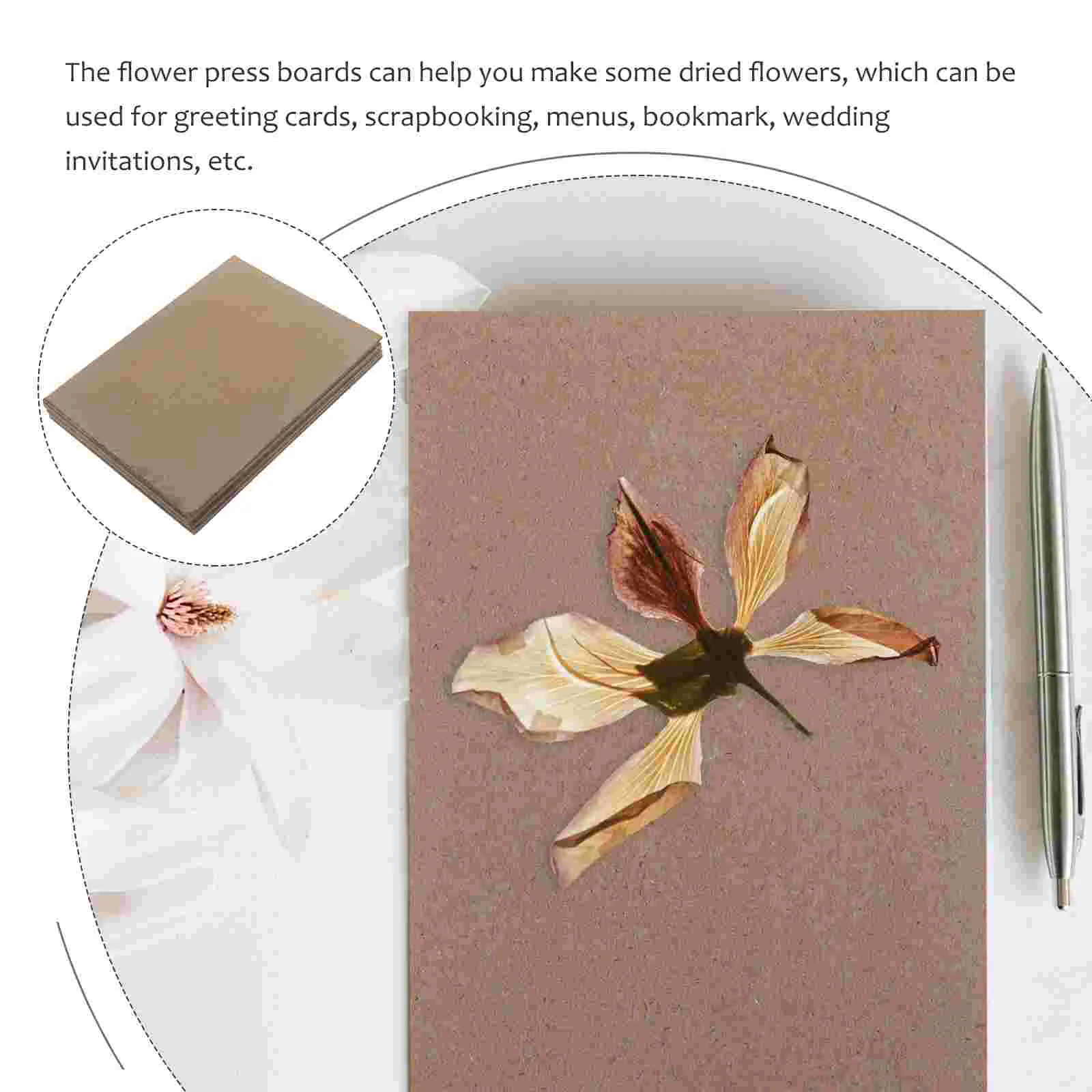 6 Sheets Embossed Paper Flower Press Boards Blotting for Plant Specimen Tool Plants Embossing Machine