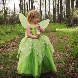 FairyTinker Bell Girls Princess Halloween Cosplay Baby Party Green Flower Fairy Children's Costume Butterfly Wings Set