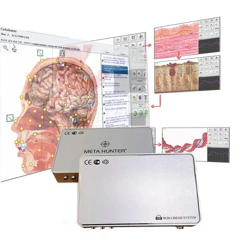 

2024 Scanner / Health Analyzer with Repair Treatment Function