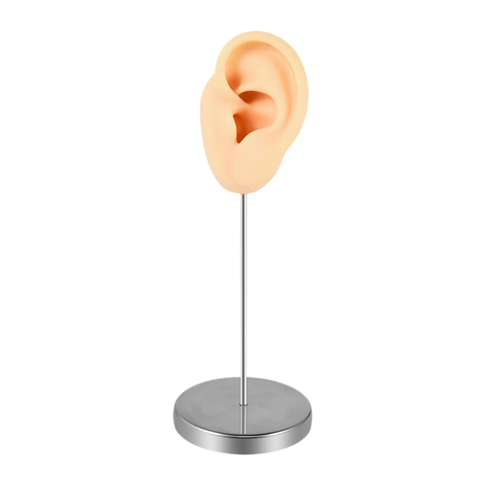 Realistic Silicone Ear Model, Earring Display Prop