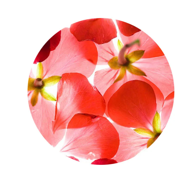 New Beautiful Plant Red Flowers Patterns 8mm 10mm12mm//20mm/25mm Round photo glass cabochon demo flat back Making findings