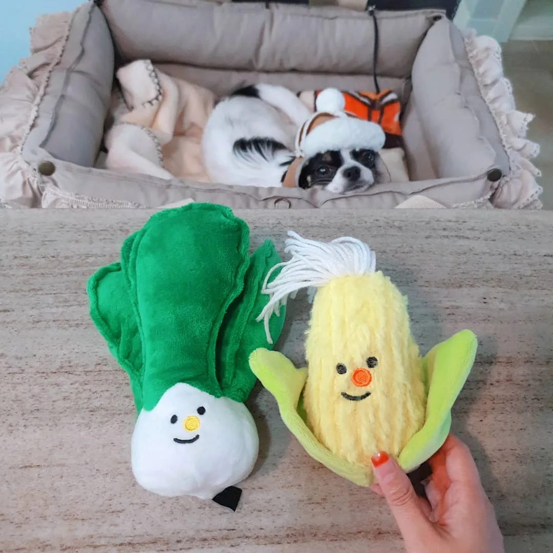 Cabbage Fleece Squeak Toys Durable Pets Toy Interactive For Puppy Cute Dogs Plush Fashion Training Pet Dog Accessories Supplier