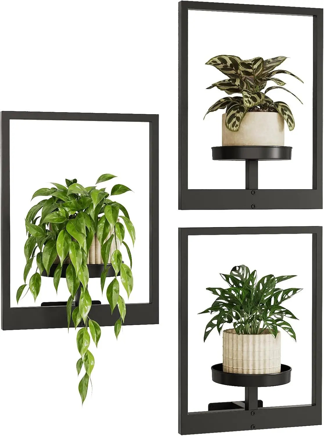 

Hanging Planters for Indoor Plants, Wall Decor Living Room Plant Stand, Window Shelves 3 Pack for Outdoor Entryway