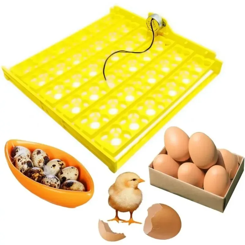 Automatic Turning Tray Chicken Incubators Tray Incubation Accessory Turner Equipment for Incubating All Kinds of Eggs 110V-220V