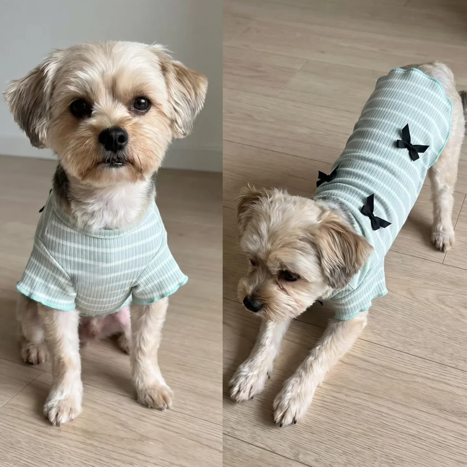 1 Stück Niedliches Hundeshirt mit Schleifendekoration, Gestreift, Weich, Dehnbar, Gerippt, Katzen-T-Shirt, Frühling Sommer Atmungsaktive Haustierkleidung – Detail 27