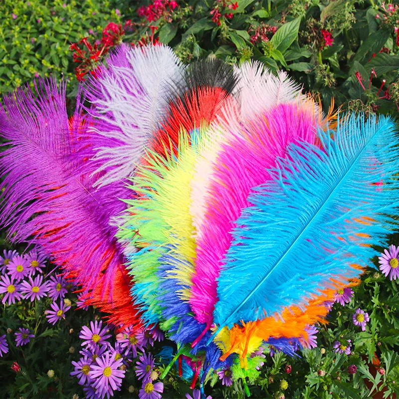Wholesale 10pcs 20-25cm Ostrich Feather Color Feather Home Decoration Flower Arrangement Wedding Ostrich Feather